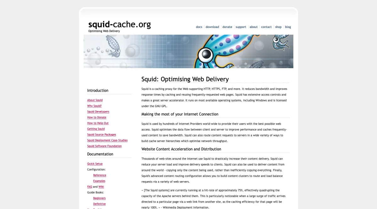 Interface Squid : image, ergonomie, alternatives Interface Squid : image, ergonomie, alternatives