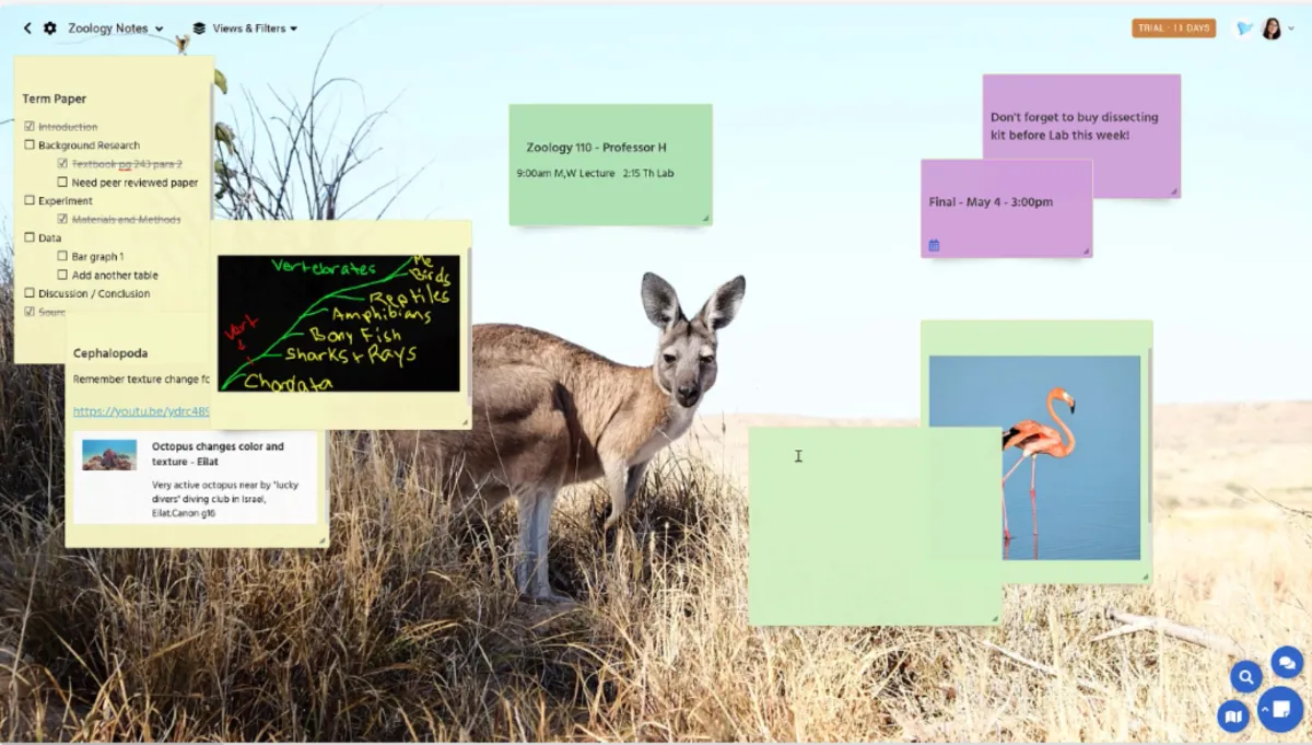 Interface Stickies: image, ergonomie, alternatives Interface Stickies: image, ergonomie, alternatives