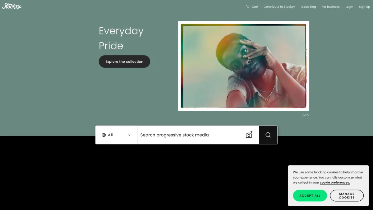 Interface Stocksy : fonctionnalités, prix, alternatives Interface Stocksy : fonctionnalités, prix, alternatives