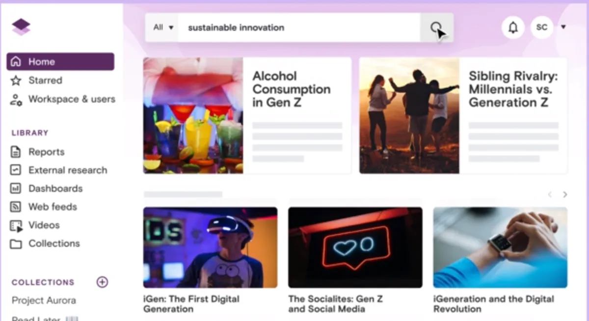 Interface Stravito: image, ergonomie, alternatives Interface Stravito: image, ergonomie, alternatives