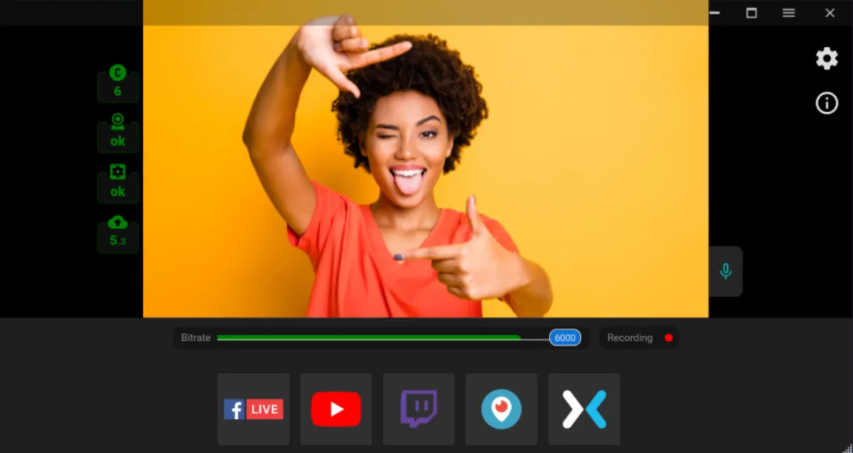 Interface Streamster: image, ergonomie, alternatives Interface Streamster: image, ergonomie, alternatives