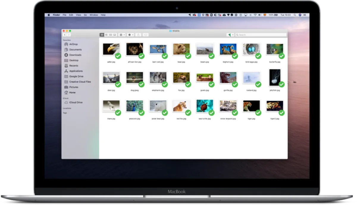 Interface Sugarsync: image, ergonomie, alternatives Interface Sugarsync: image, ergonomie, alternatives