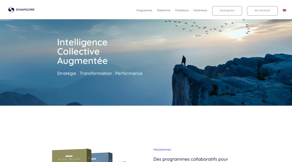 Interface Synapscore : image, ergonomie, alternatives Interface Synapscore : image, ergonomie, alternatives