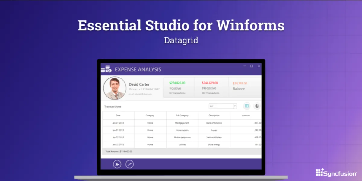 Interface Syncfusion: image, ergonomie, alternatives Interface Syncfusion: image, ergonomie, alternatives