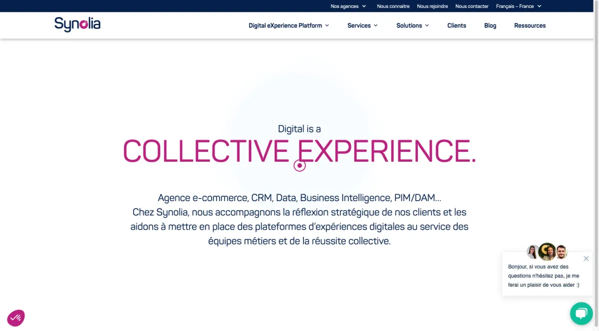 Interface Synolia : image, ergonomie, alternatives