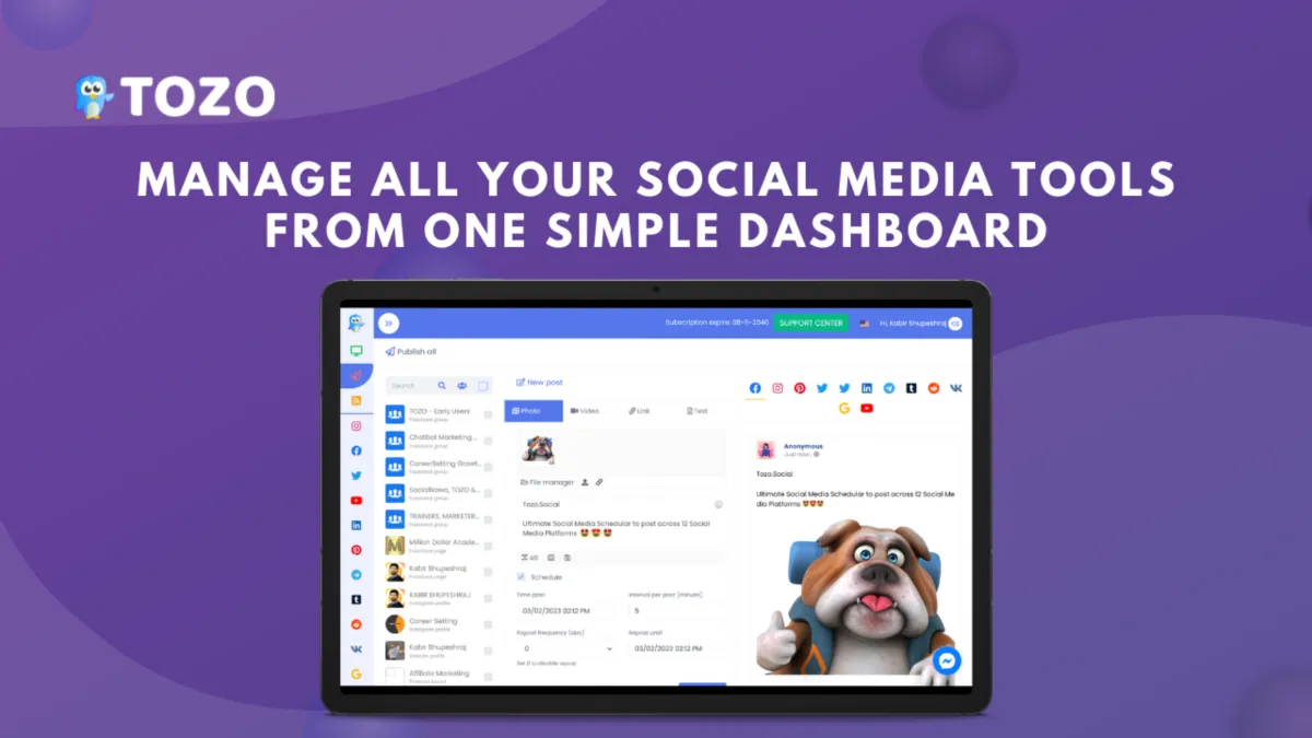 Interface TOZO Social: image, ergonomie, alternatives Interface TOZO Social: image, ergonomie, alternatives