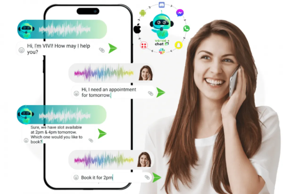Interface ViVi: image, ergonomie, alternatives